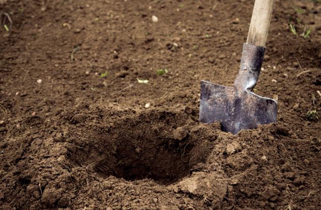 Притча за усилията