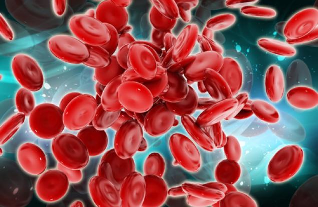 Създадоха най-тънкия изкуствен кръвоносен съд