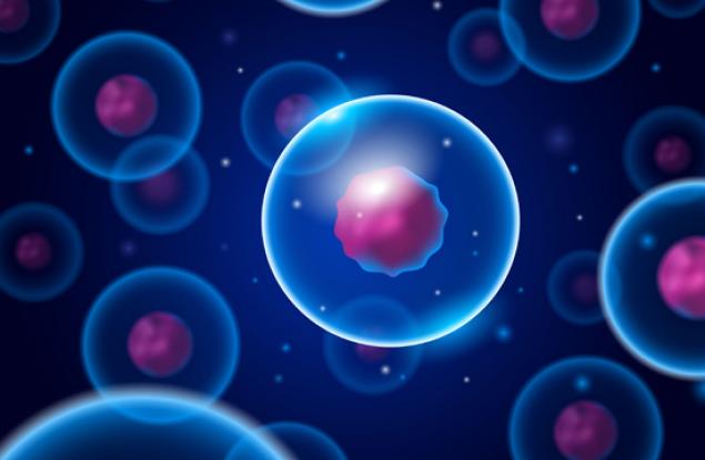 За първи път закодираха филм в ДНК на жива бактерия