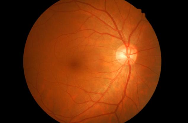 Създават човешка ретина буквално от нулата