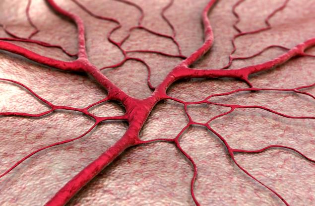 30 октомври 1958 г.- Грешка бележи началото на коронарната ангиография 