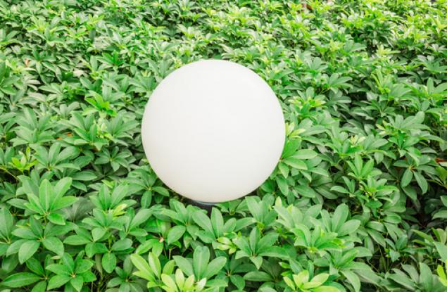 Учени свързаха електроника в растения