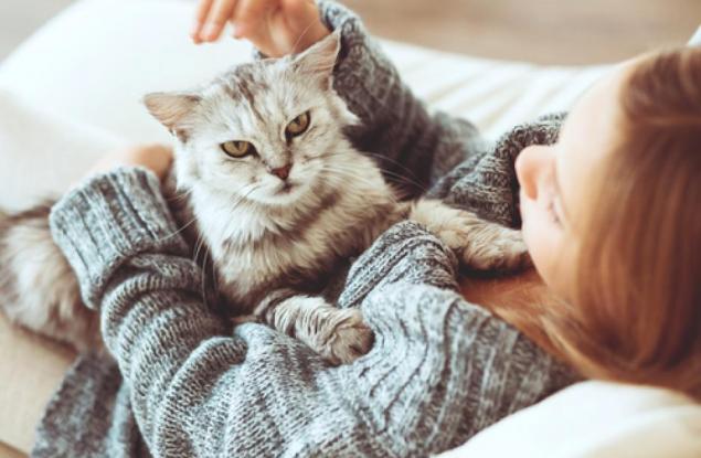 Наистина ли котките обичат жените повече?