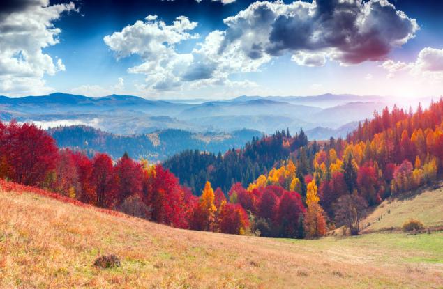 Всичко е по-красиво през есента и тези 21 фотографии го доказват