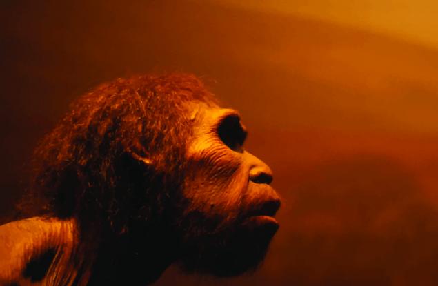 Харвардски професор търси доброволка, съгласна да роди неандерталец