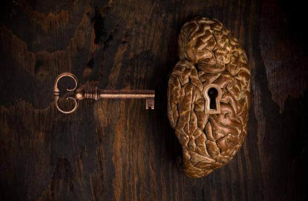 Знаете ли, че: Само високо IQ не стига