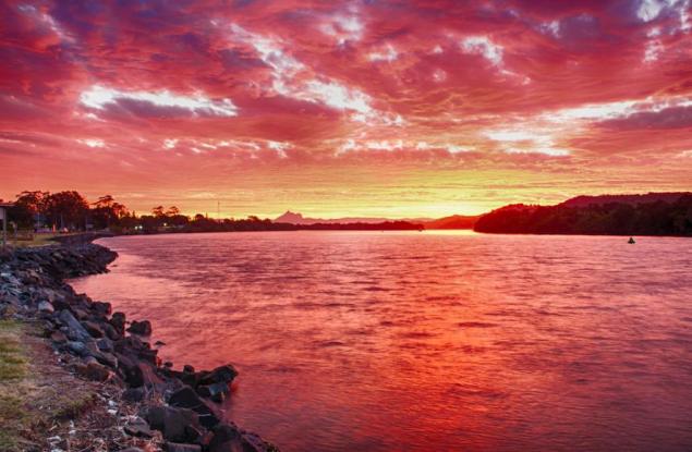 Най-старите животински следи на Земята