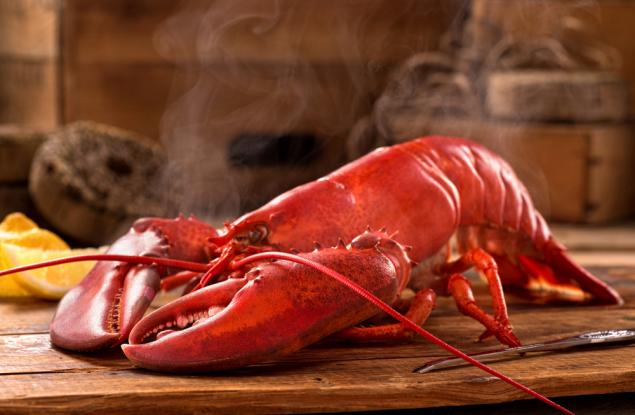 Любопитни факти за омарите