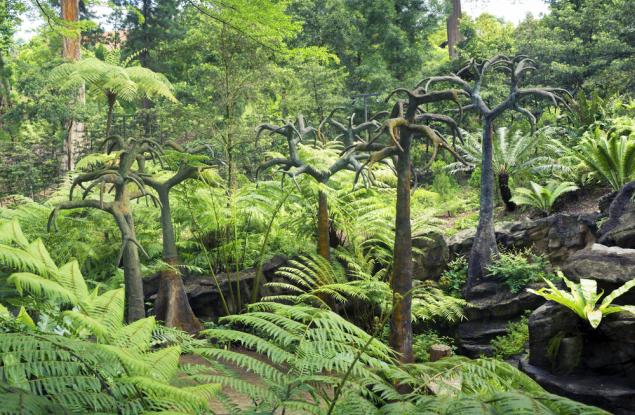 Растение от ерата на динозаврите процъфтява в САЩ