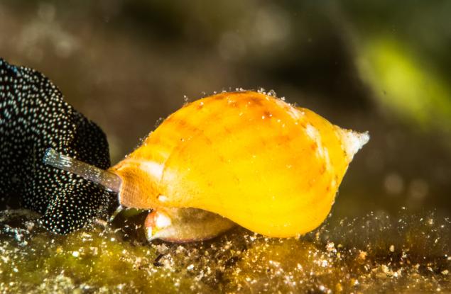 Ново откритие показва, че можем да редактираме спомени, за да ги направим по-малко травмиращи