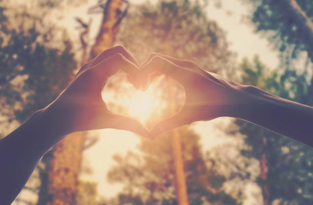 Привличането, влюбването и обичта са три различни неща