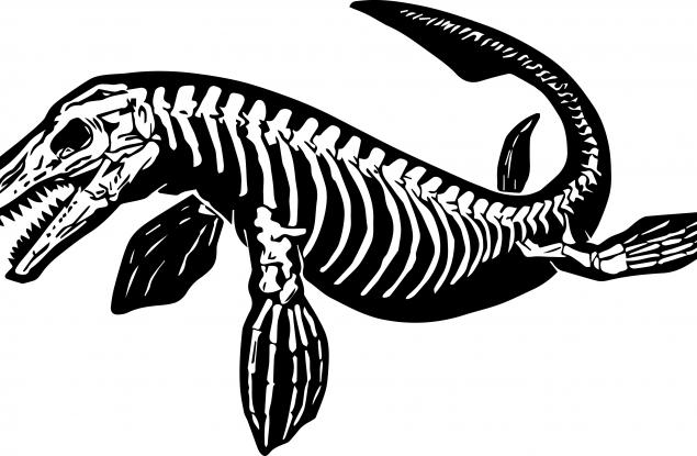 Откриха вкаменен скелет на гигантско морско чудовище
