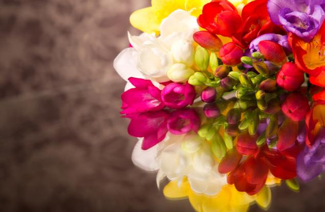 Тук си, за да дариш уханието си на света 