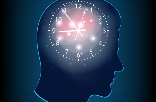 Мозъчни клетки, които се смятаха за филтри, са ключа към нашите вътрешни часовници
