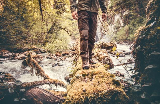 Невероятната история на човека, който засади гигантска гора дърво по дърво