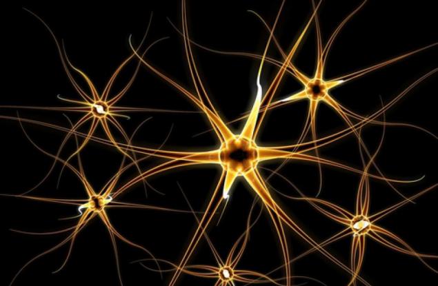 Броят на клетките в мозъка на детето зависи от начина на раждане