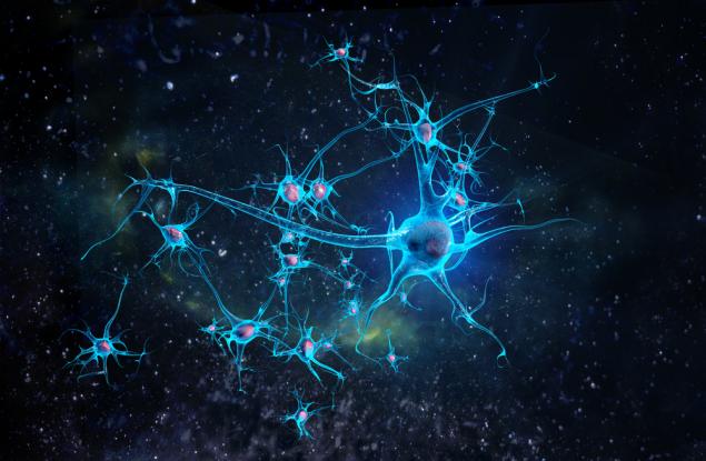 Гигантски неврон обикаля мозъка