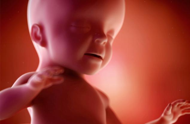 Още в утробата на мама бебето прави гримаси