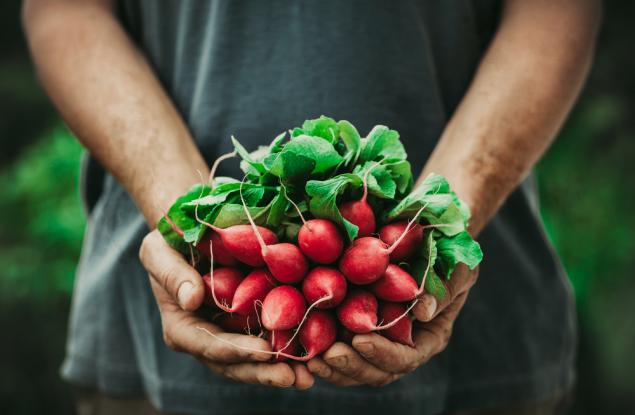 По-здравословни ли са био храните?