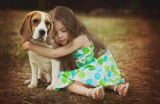 Учени: Спрете да прегръщате кучето