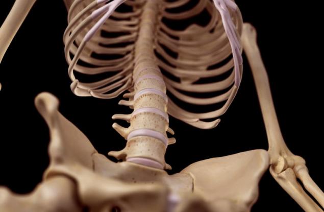 Перспективи пред лечението на гръбначния стълб