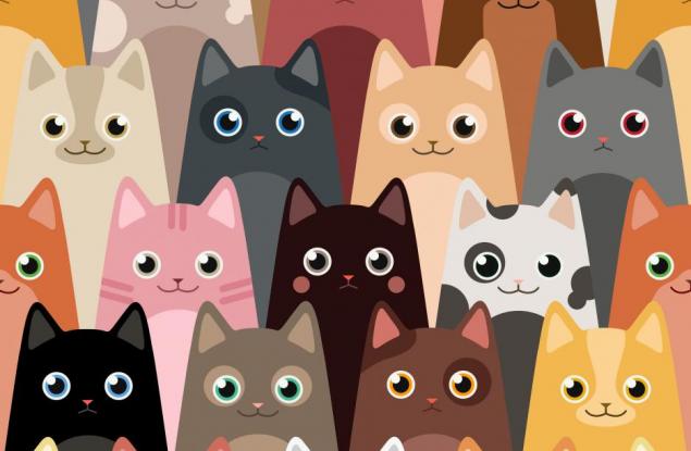 Защо интернет е луд по котките?