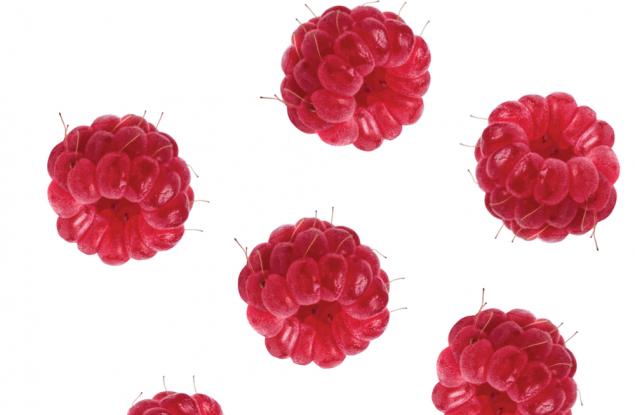 Видео: малини се разбиват на парченца 