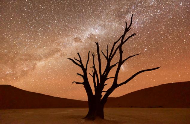 Този таймлайпс на нощното небе ще ви остави без дъх