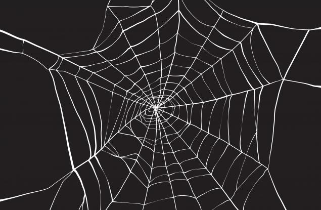 Коприна на паяци, поени с графен, е най-здравия материал на света