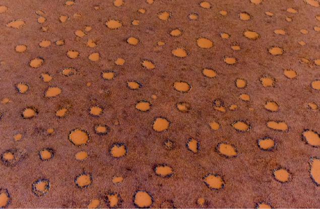 Учени разгадаха мистерията на австралийските вълшебни кръгове