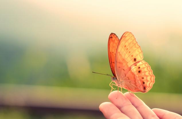 Не получих нищо от това, за което молих. Но получих всичко, което ми е нужно