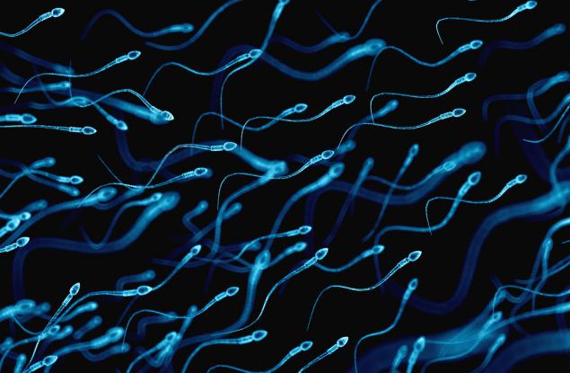 Какво причинява спада в концетрацията на спермата?