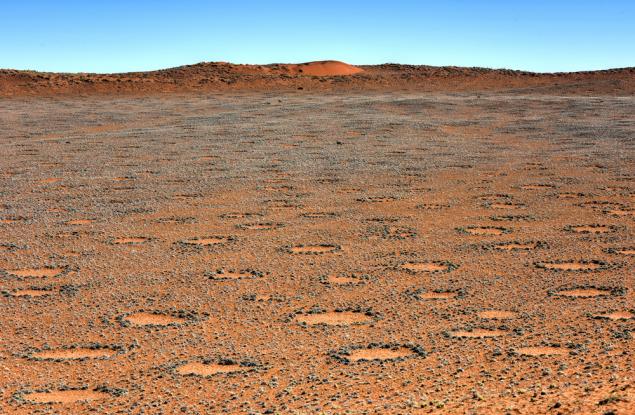 Мистерията на вълшебните кръгове в Намибия