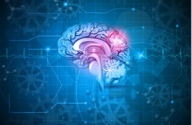 Мозъкът ни има система за изхвърляне на отпадъците