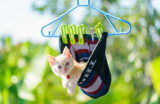 Една фотогалерия, която ще ви накара да се усмихнете