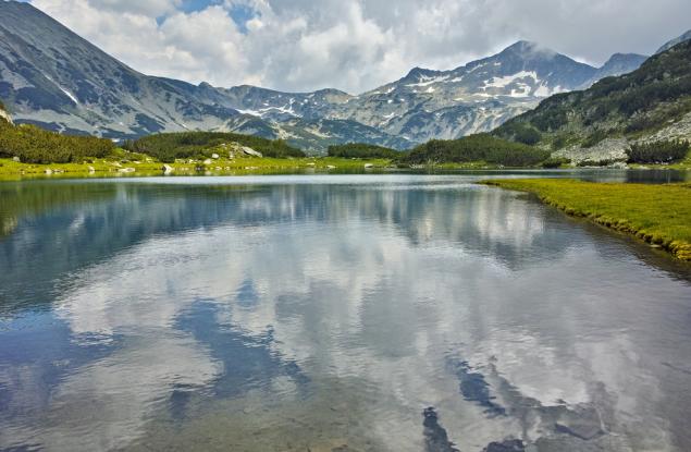 Определиха европейските местообитания под заплаха