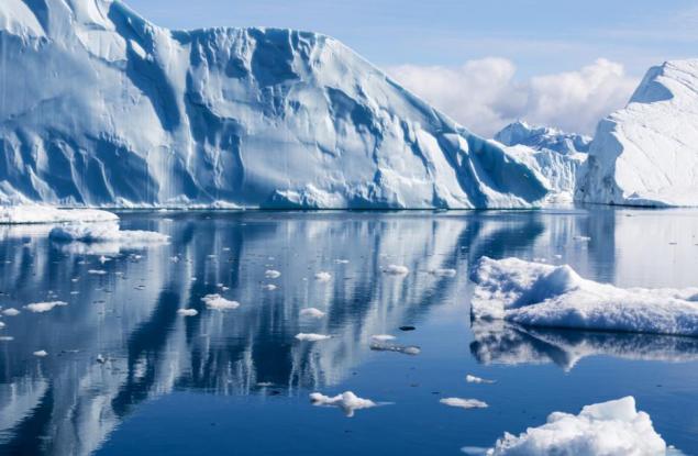 Полярните растения процъфтяват