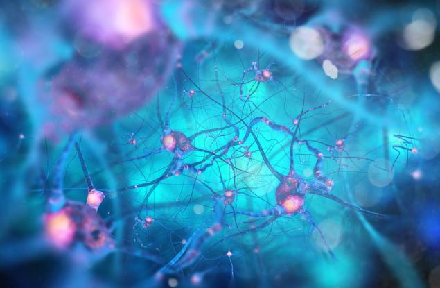 Учените откриха начин как да помогнат на нервните влакна да се възстановят