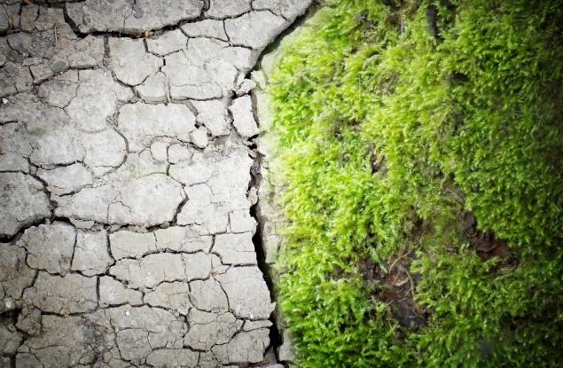 Какво представлява животът? Смъртта истинска ли е?