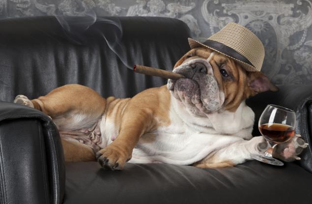 Черният хумор е признак на висока интелигентност