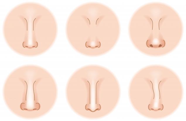 Климатът е отговорен за формата на вашия нос