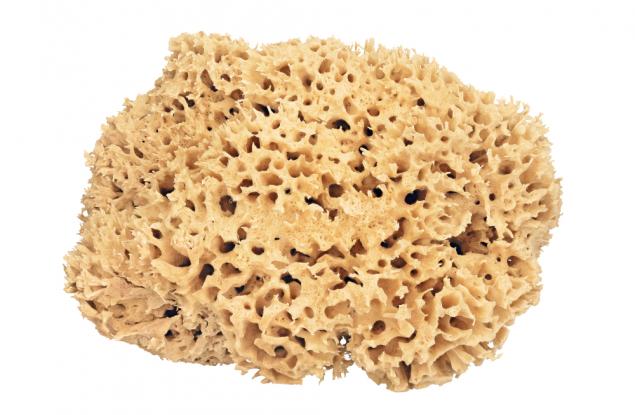 Най-мръсният предмет в дома