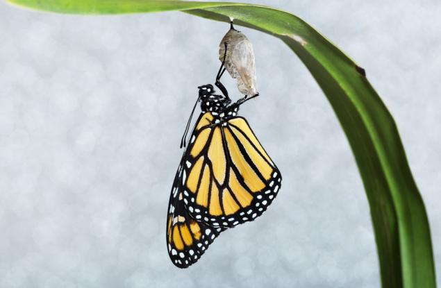 Как да промениш събитията, когато не ти върви