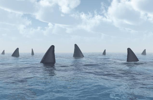 Плувай или умри - това ли е съдбата на акулите?