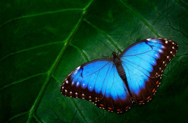 Всичко е в твоите ръце