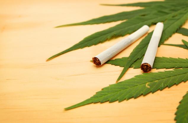 Канабисът намалява мотивацията за работа