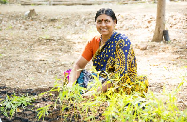 Хората в Индия засадиха 50 млн. дървета за 24 часа