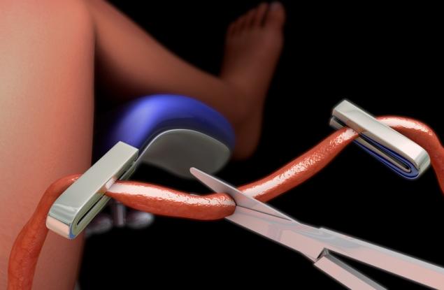 Кръв от пъпната връв възстановява мозъците на възрастни мишки