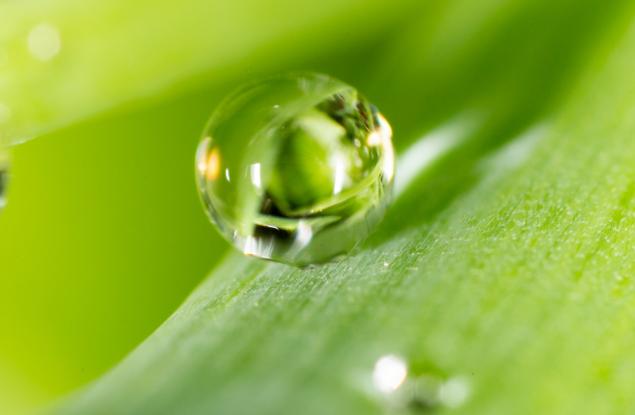 Тази снимка показва как изглежда перфектната водна капчица