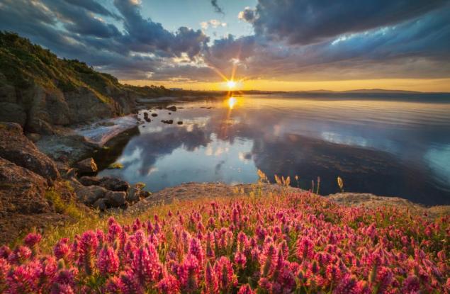 Идеи за лятна ваканция - къде, кога и колко ще ни струва